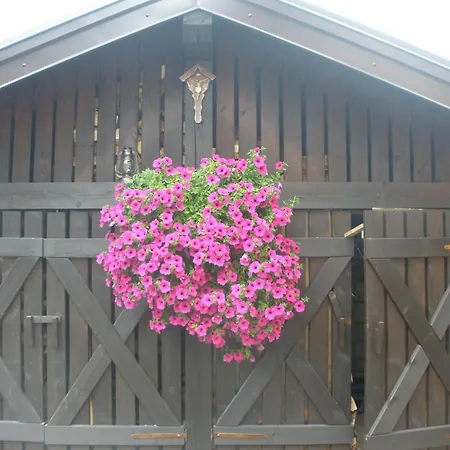Casa Pallanch Fai della Paganella Exterior foto
