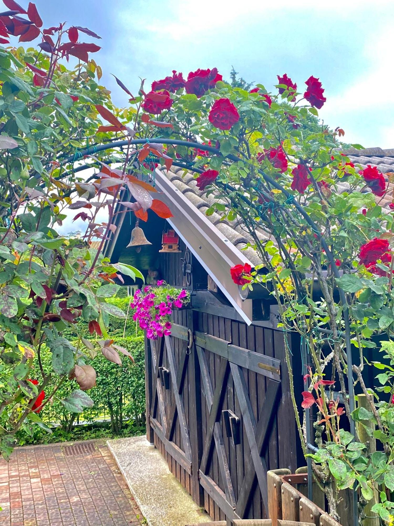 Casa Pallanch * Fai della Paganella